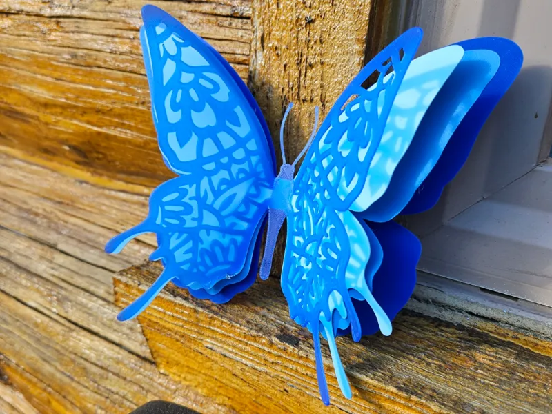 Mandala Butterfly