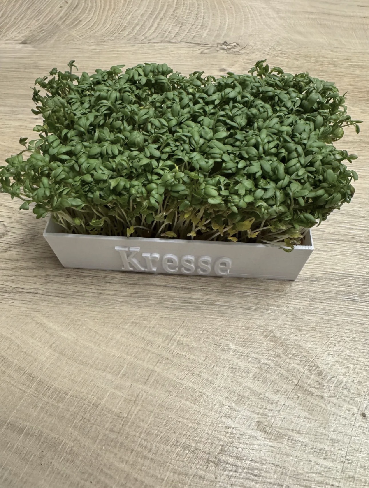 Miniatura 1 do modelo 3D Kressebox