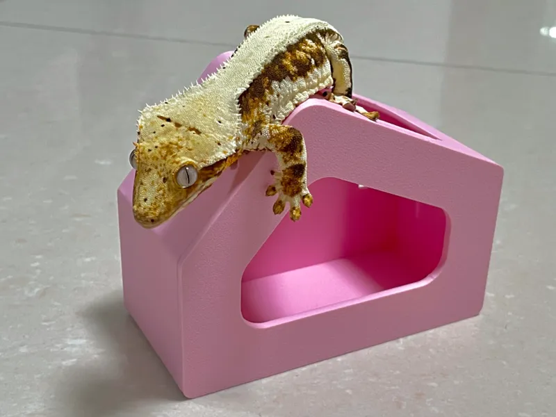 爬宠树屋躲避/Gecko Tree House Shelter
