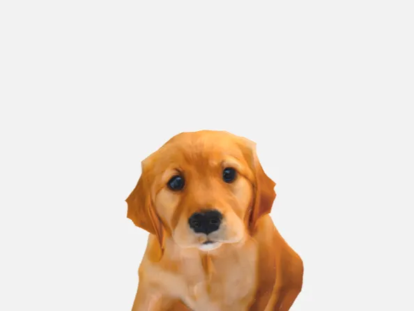 a dog model for free!!!
