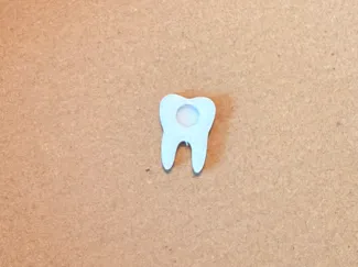 Magnetic Tooth