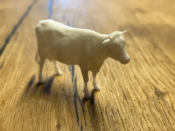 https://makerworld.bblmw.com/makerworld/model/US971070a2b94615/design/2025-10-26_e95c692a8860d8.jpg
