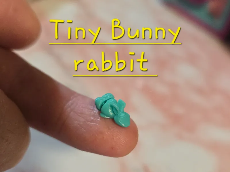 50 hide and seek tiny articulated bunny 