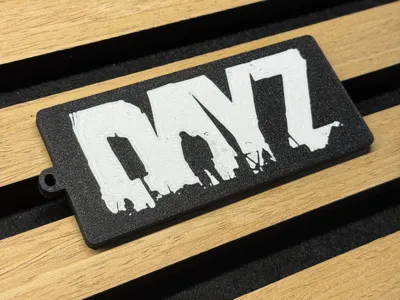 Dayz Keychain