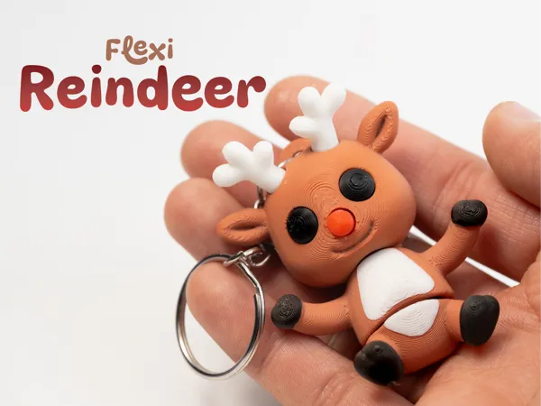 https://makerworld.bblmw.com/makerworld/model/US9714a2c16d54dd/design/2025-12-08_3a92e03004f418.jpg