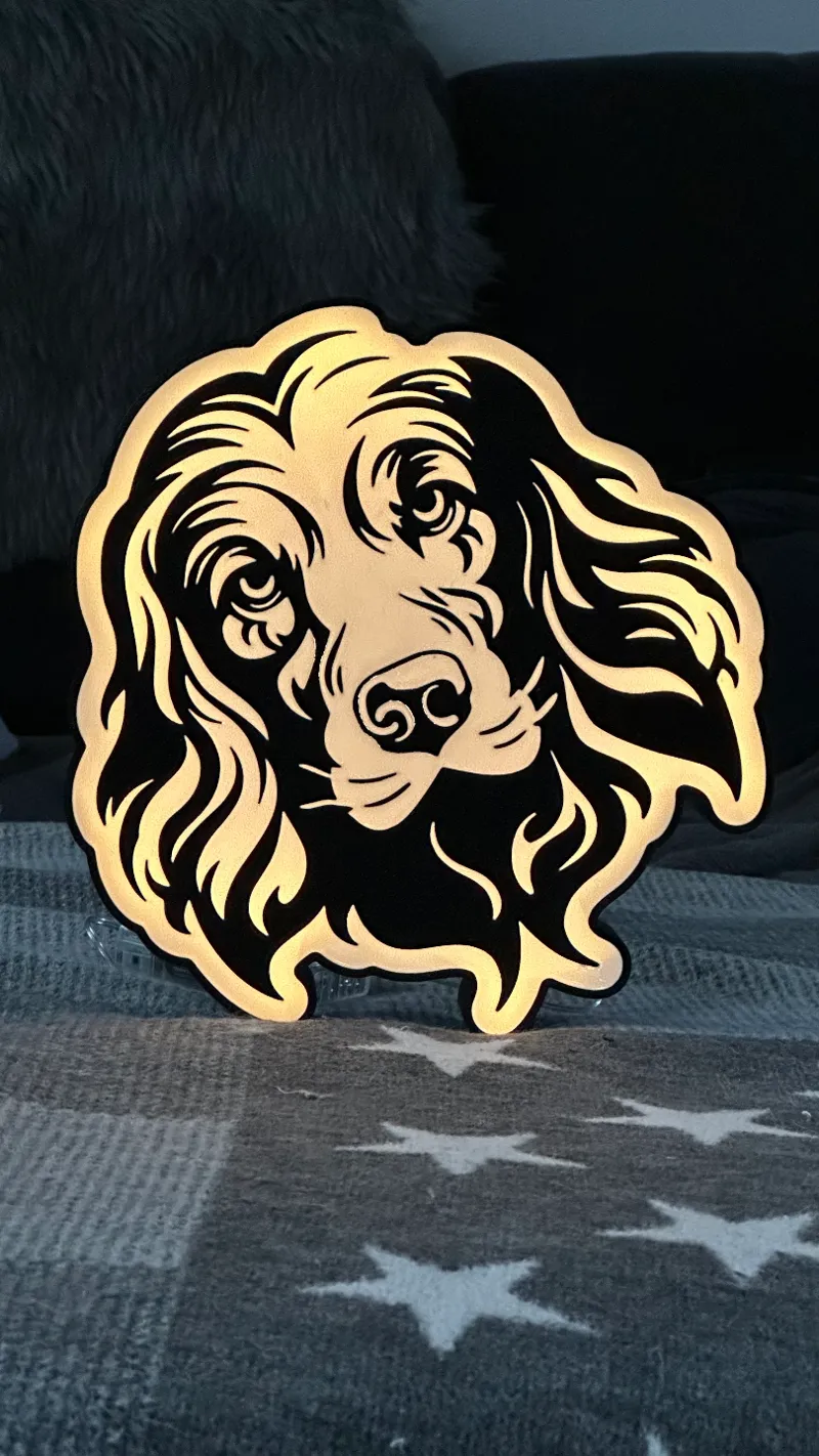 Celtic Dog Light Box