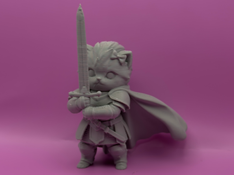 Knight Cat Meme - 1