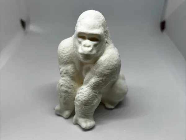 https://makerworld.bblmw.com/makerworld/model/US97237da46cbb5b/design/2025-01-02_1d1676ec0d807.jpg