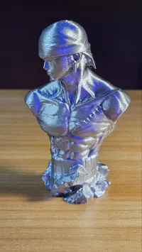 0.16mm layer, 2 walls, 10% infill