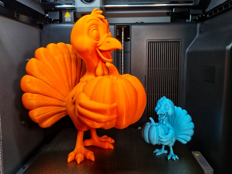 Turkey with pumpkin Thanksgiving