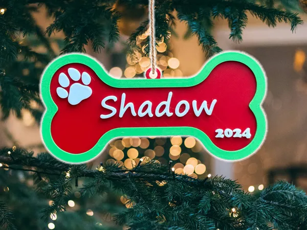 https://makerworld.bblmw.com/makerworld/model/US973208973e23ff/design/2024-11-19_4078be611a197.png
