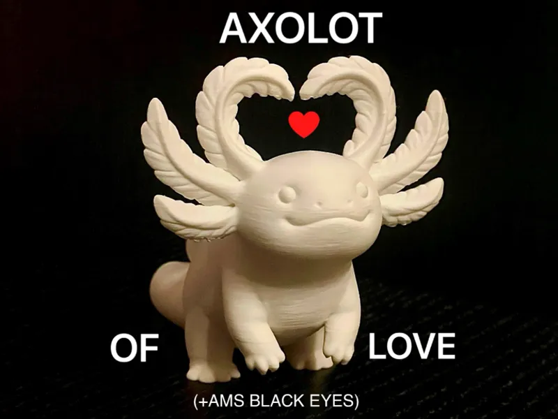 Axolot Heart