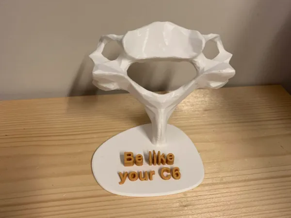 https://makerworld.bblmw.com/makerworld/model/US9737bb34b114cd/design/2025-05-09_5eda9feddde8.jpg