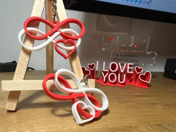 https://makerworld.bblmw.com/makerworld/model/US973a5530ddc329/design/2025-01-28_04156ddba6b59.jpeg