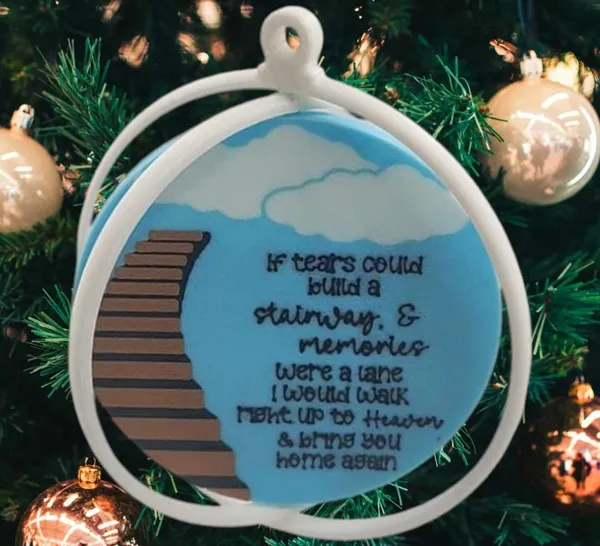 https://makerworld.bblmw.com/makerworld/model/US973ca643ef98dc/design/2024-12-08_27cdc6665fb04.jpg