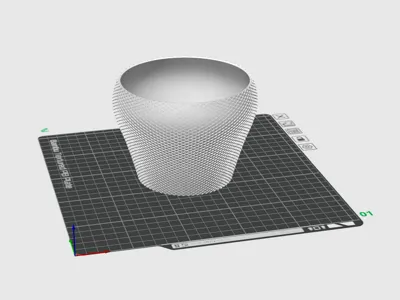 Vase insert 