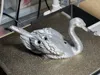 Small Swan