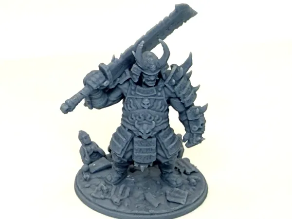 https://makerworld.bblmw.com/makerworld/model/US973f83750900c1/design/4c02ddb783dda590.jpeg