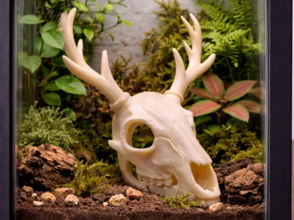 https://makerworld.bblmw.com/makerworld/model/US97463af0c8eb5f/design/1d9ae59d03440572.png