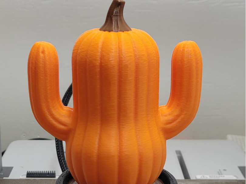 Saguaro Pumpkin Cactus