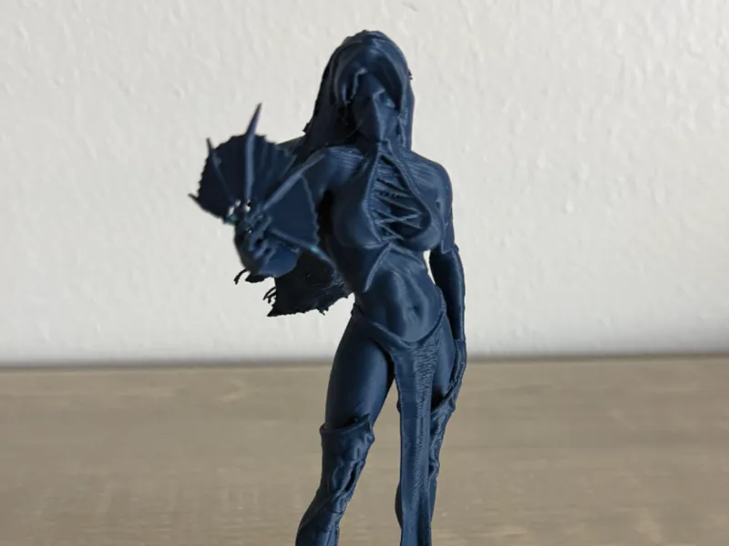 Blue Ninja Lady