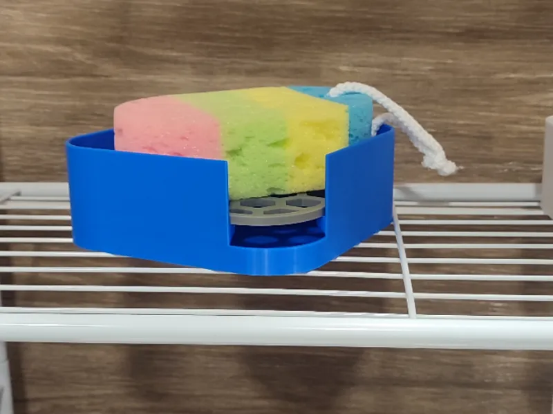 Sponge Box