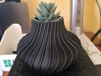 Vaso spirale