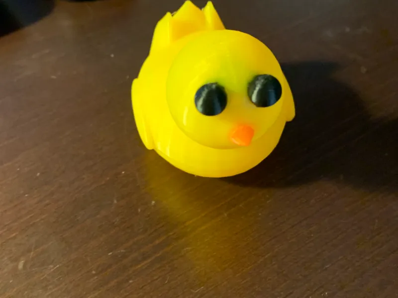 Duck Model