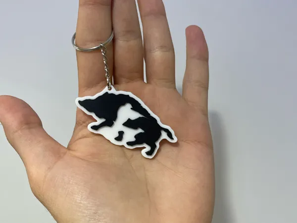 https://makerworld.bblmw.com/makerworld/model/US976197a7dba887/design/2025-02-12_65fec365f192e.jpg