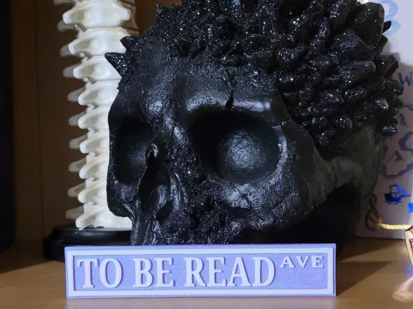 https://makerworld.bblmw.com/makerworld/model/US97633823f7fc3b/design/2025-02-15_6966c051045f08.jpg