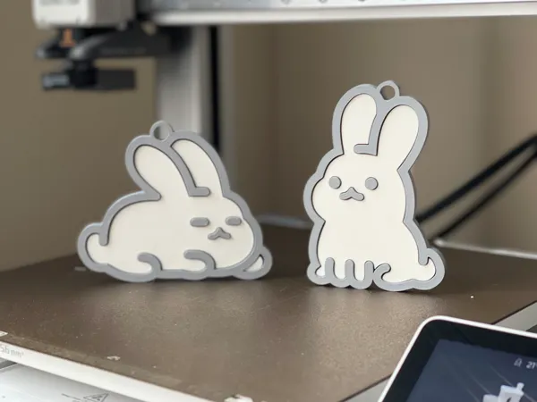 https://makerworld.bblmw.com/makerworld/model/US9766d0a17a124a/design/2024-12-08_847c23ba2f56b8.jpg