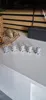 0.12mm layer, 2 walls, 20% infill