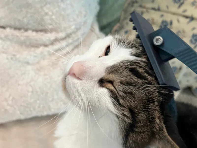 Scrub-Kitty Multi-Use Brush and Scrubber