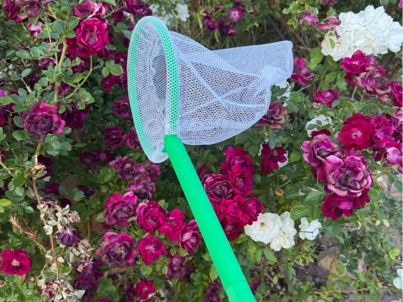 Butterfly Insect Crawdad Net  