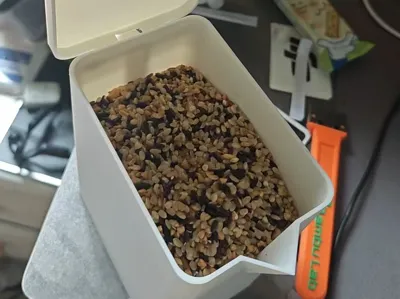 Rice Storage Box