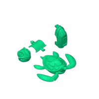 Turtle_singlecolor