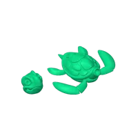 Turtle_twocolor