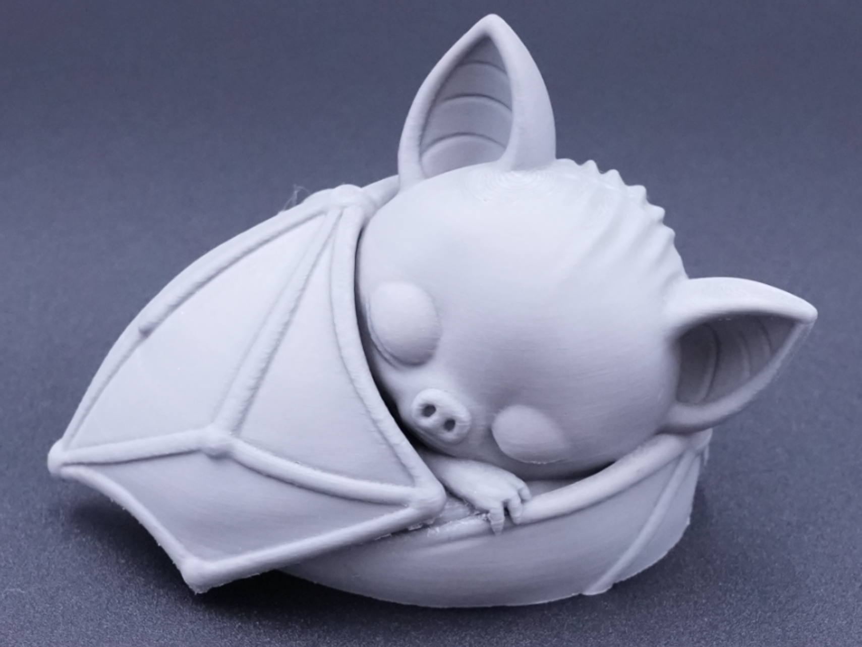 model of a baby bat sleeping