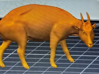 MYOTRAGUS FIGURE