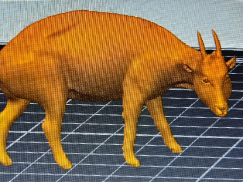 MYOTRAGUS FIGURE