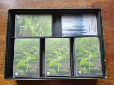 Forest Shuffle + 3exp insert