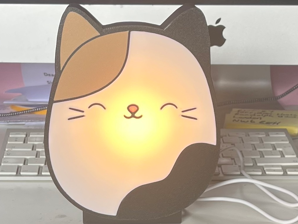 Cam The Cat Lightbox Squishmallows Cat