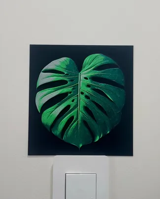 monstera Hueforge