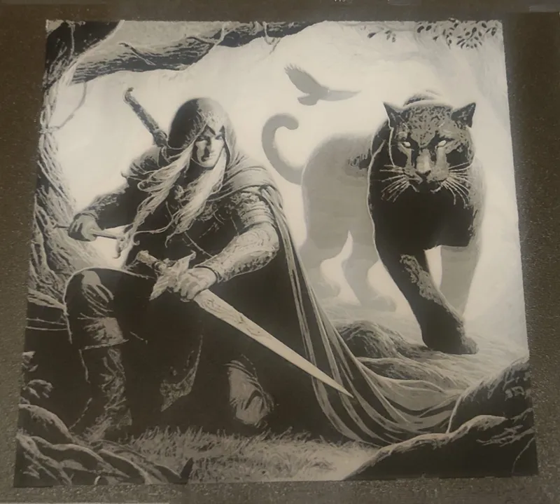 Drizzt Do Urden