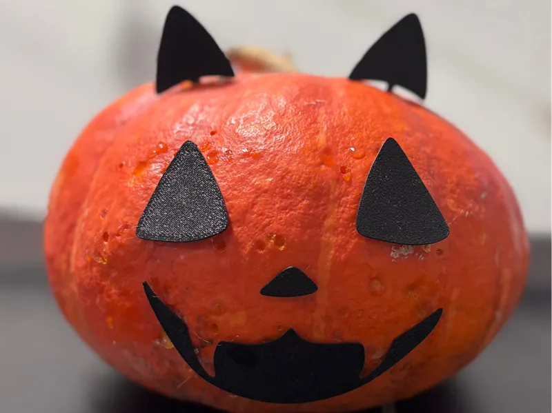 Pumpkin CAT - Helloween pumpkin without cutting