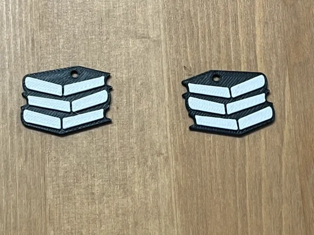 book earrings