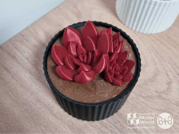 https://makerworld.bblmw.com/makerworld/model/US97891dcd72fc80/design/2025-01-20_31c68cd2ada66.png