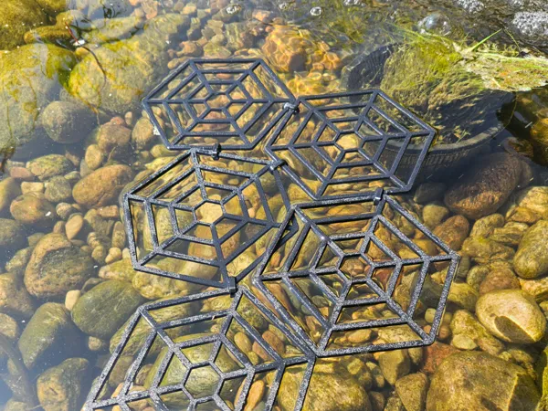 https://makerworld.bblmw.com/makerworld/model/US97896f44981b5d/design/2025-07-10_523ad32593e9a.jpg