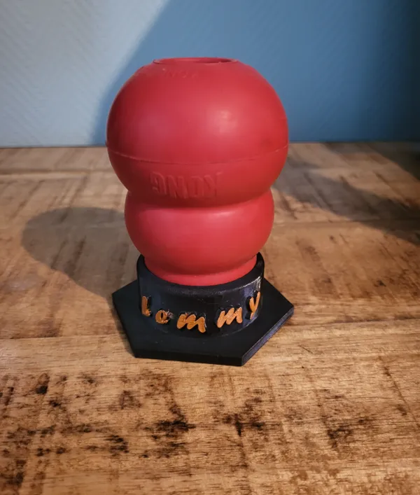 https://makerworld.bblmw.com/makerworld/model/US97973aeb7d9d4e/design/2024-08-21_769df466eb577.jpg