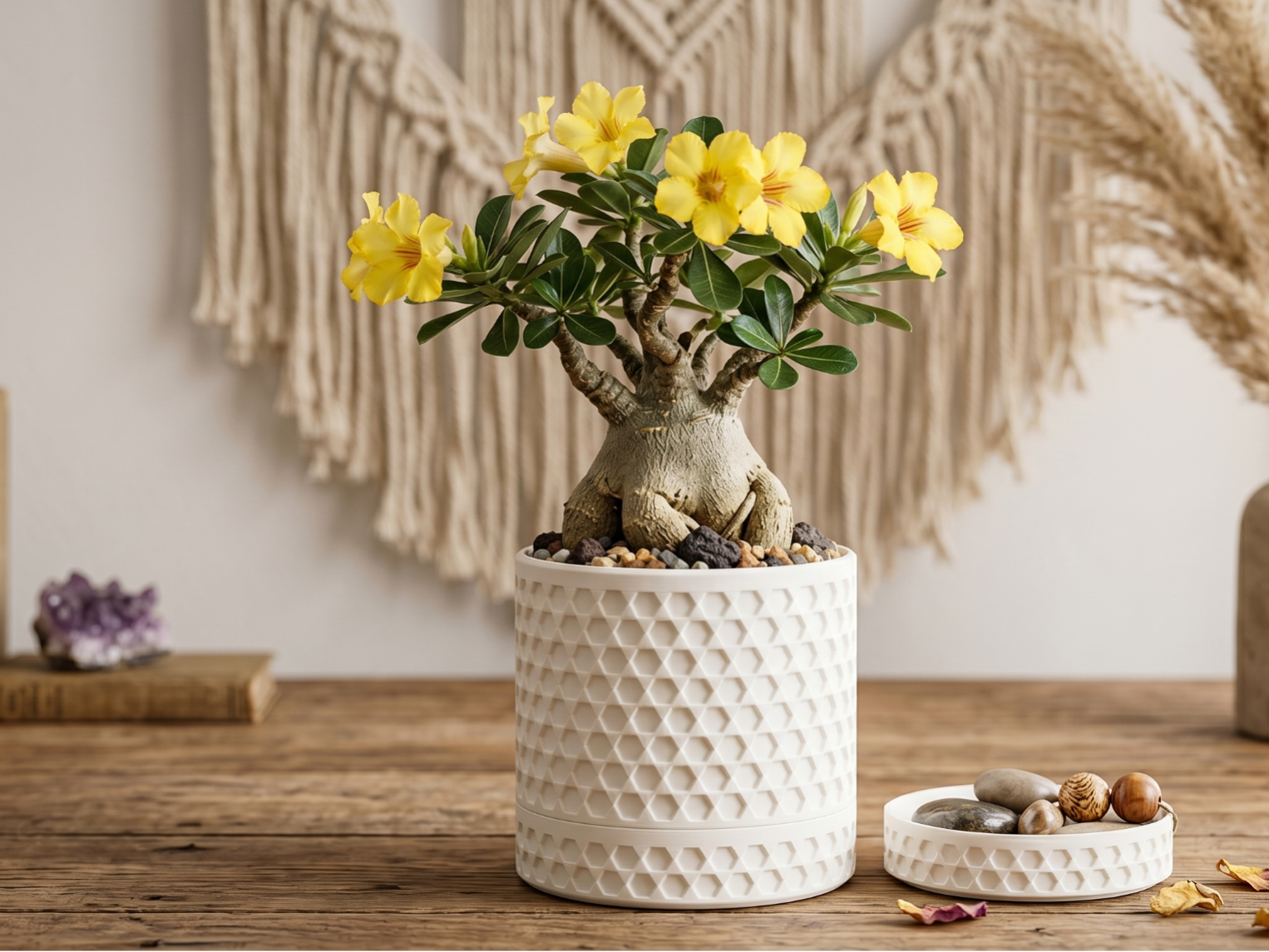 White Hex Lattice Storage Jar